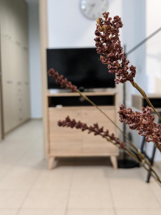 Cozy Apartment Near The City Centre كاندية المظهر الخارجي الصورة